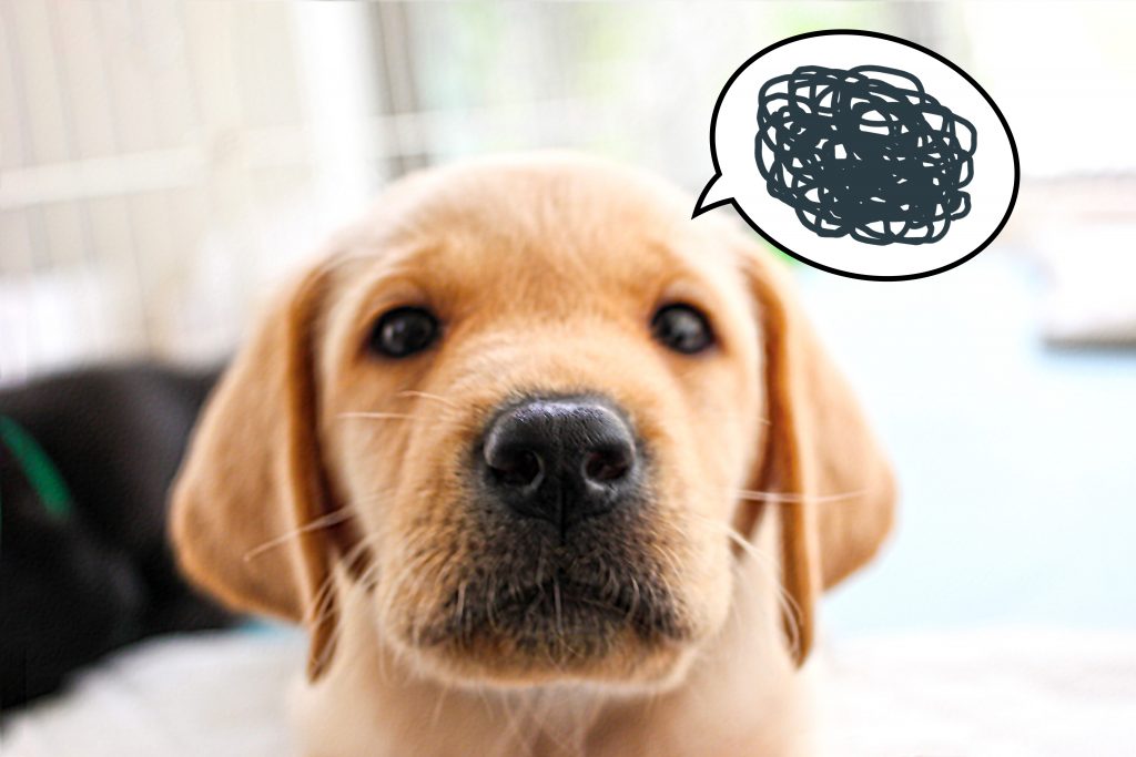 ホットヨガに期待できる7つの効果と効果を最大限に高める6つの方法 ヨガシェルフ