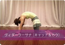 猫のポーズ(ヴィダーラーサナ)| 背骨の歪み改善と神経系をリラックスしたい方におススメ!
