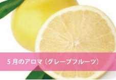 5月:グレープフルーツ