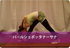 パールシュボッタナーサナ| 脚の引き締め!体幹強化!