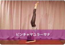 孔雀の羽のポーズ(ピンチャマユラーサナ)| 背筋を鍛え背中美人を目指す方へおススメ!