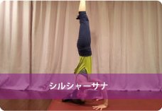 頭立ちのポーズ(シルシャーサナ)| 集中力、バランス力向上!