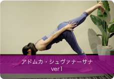 アドムカ・シュヴァナーサナver1 | コアを強化し体のバランスを整える。