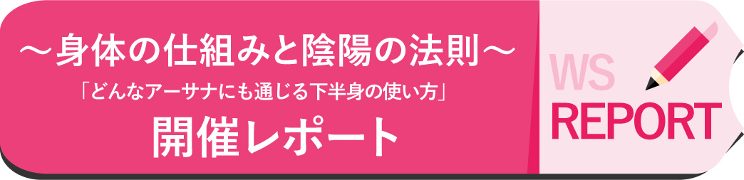 ACO先生 シリーズ ~身体の仕組みと陰陽の法則~「どんなアーサナにも通じる下半使い方」レポート