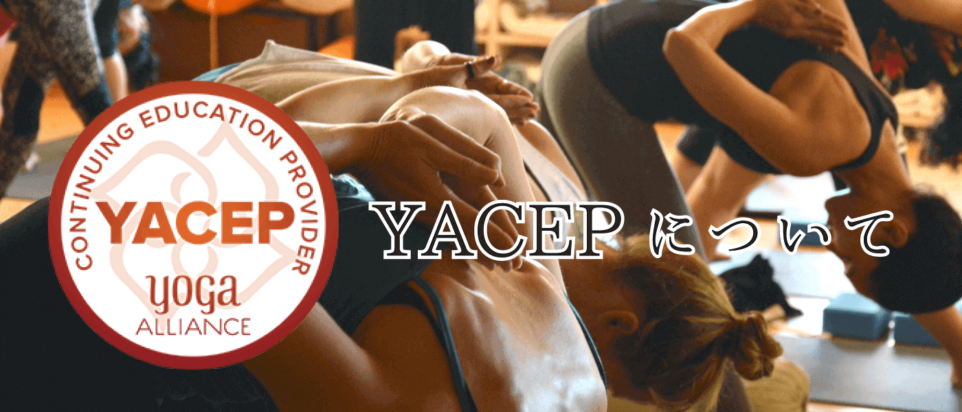 YACEP（全米ヨガアライアンスの新教育制度について）