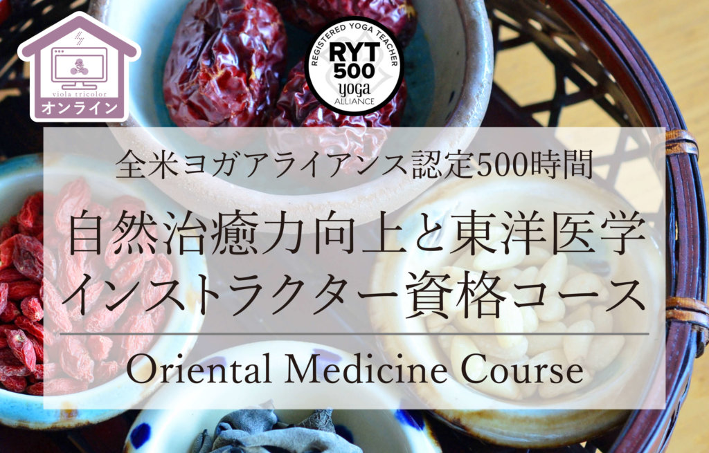 【オンライン開催】自然治癒力向上と東洋医学資格コース