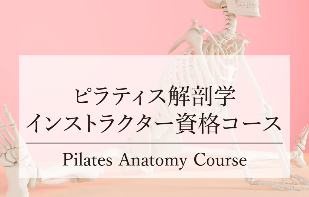 <span class="red">NEW</span>ピラティス解剖学インストラクター資格コース