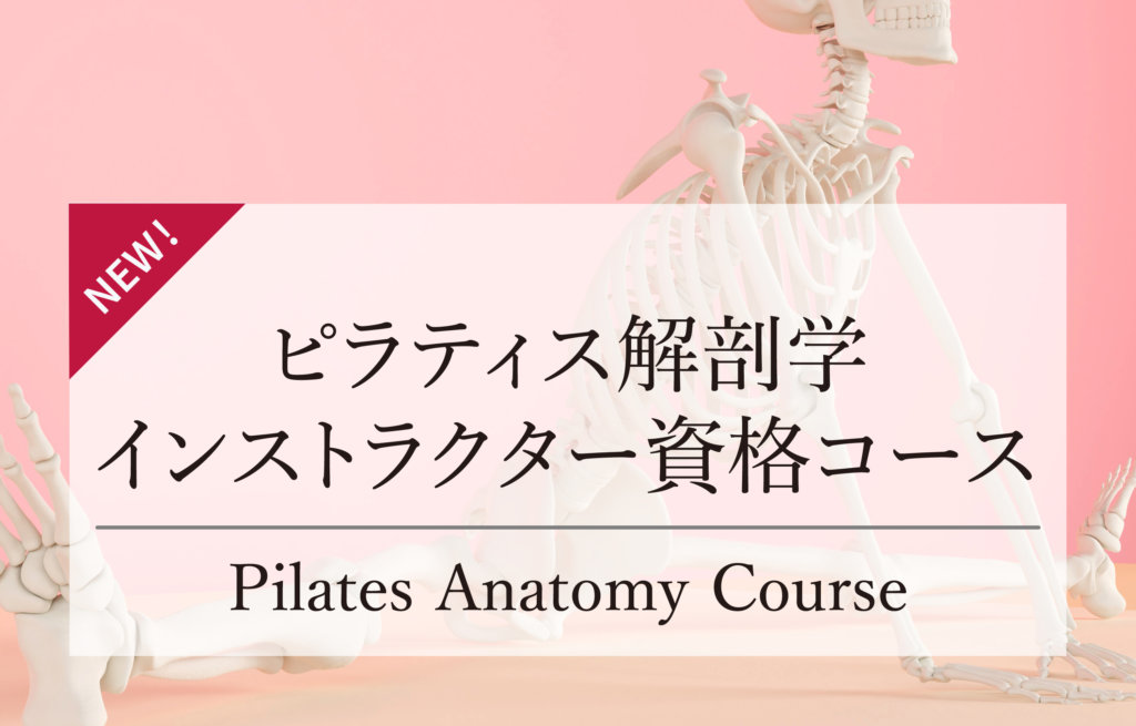 ピラティス解剖学インストラクター資格コース