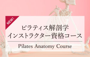 NEW！ピラティス解剖学インストラクター資格コース9月開講！！